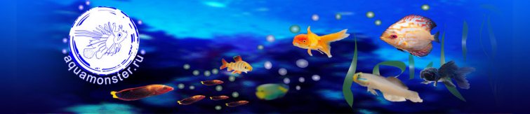 AQUAMONSTER.RU интернет-магазин