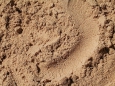 Песок строительный  5тн