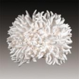 Бра ODEON LIGHT 2755/1W ESMA
