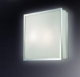 Настенно-потолочный светильник ODEON LIGHT 2537/1C TELA