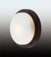 Настенно-потолочный светильник влагозащищённый ODEON LIGHT 2744/1C HOLGER