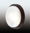 Настенно-потолочный светильник влагозащищённый ODEON LIGHT 2744/2C HOLGER