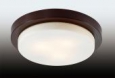 Настенно-потолочный светильник влагозащищённый ODEON LIGHT 2744/3C HOLGER