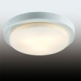 Настенно-потолочный светильник влагозащищённый ODEON LIGHT 2745/3C HOLGER