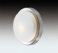Настенно-потолочный светильник влагозащищённый ODEON LIGHT 2746/1C HOLGER