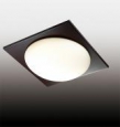 Настенно-потолочный светильник влагозащищённый ODEON LIGHT 2763/2C BRIDO
