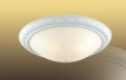 Настенно-потолочный светильник SONEX 4306 COLT
