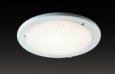 Настенно-потолочный светильник SONEX 111 RIGA