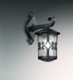 Уличный настенный светильник ODEON LIGHT 2311/1W BUKLE