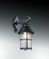 Уличный настенный светильник ODEON LIGHT 2313/1W LUMI
