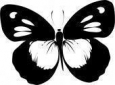 Наклейка «Бабочка 8»