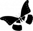 Наклейка «Бабочка 9»