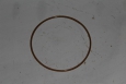 Кольцо уплотнительное головки Тайга С40500039