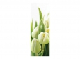 Панно DECOCODE Белые тюльпаны 11-0160-FG