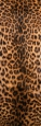 Панно Moda Interio арт. 1-802 Шкура леопарда