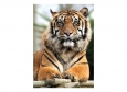 Фотообои DECOCODE Гордый тигр 21-0213-NY