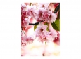 Фотообои DECOCODE Цветущая сакура 21-0057-FR