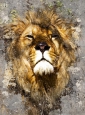 Фотообои DIVINO Decor Лев D2-029