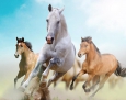Фотообои DIVINO Decor Лошади  Б1-079