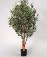 Дерево оливковое 140см