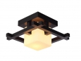 Светильник Artelamp   A8252PL-1CK
