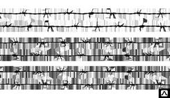 Колючая Проволока 0.15 - 10 ГОСТ 285-69 ЧЕРНАЯ СВЕТЛАЯ ОЦИНКОВАННАЯ