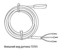 Датчик температуры TST01-2,0-С (-55 до +125). Челябинск