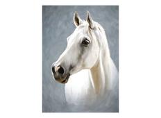 Фотообои DECOCODE Белая лошадь 21-0129-NL. Челябинск