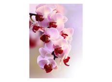 Фотообои DECOCODE Ветка орхидеи 21-0007-FR. Челябинск
