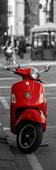 Фотообои Moda Interio арт.1-051 Красный скутер. Челябинск