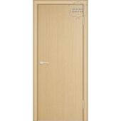 Дверь ДГ "Авангард". Челябинск