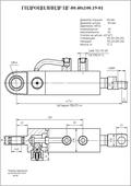 Гидроцилиндр ЦГ-80.40х100.19-01. Челябинск