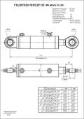 Гидроцилиндр ЦГ-80.40х250.11-03. Челябинск