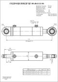 Гидроцилиндр ЦГ-80.40х400.11.000-06 СБ. Челябинск