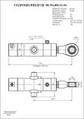 Гидроцилиндр ЦГ-80.50х400.31-01. Челябинск