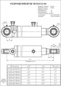 Гидроцилиндр ЦГ-80.56х900.11.000-06 СБ. Челябинск