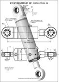 Гидроцилиндр ЦГ-100.50х250.11-01. Челябинск