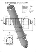 Гидроцилиндр ЦГ-125.100х600.55. Челябинск